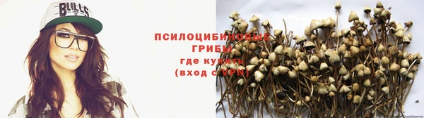 СК Арсеньев