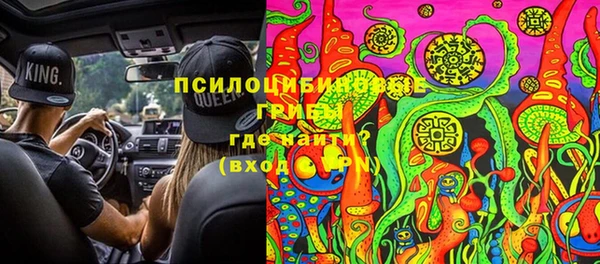 СК Арсеньев
